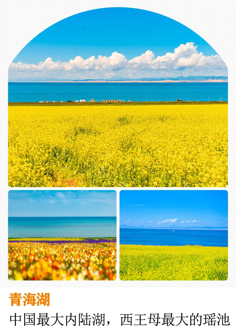 b9a43bf18f8916969ee6afe352b989d9-sz_309197