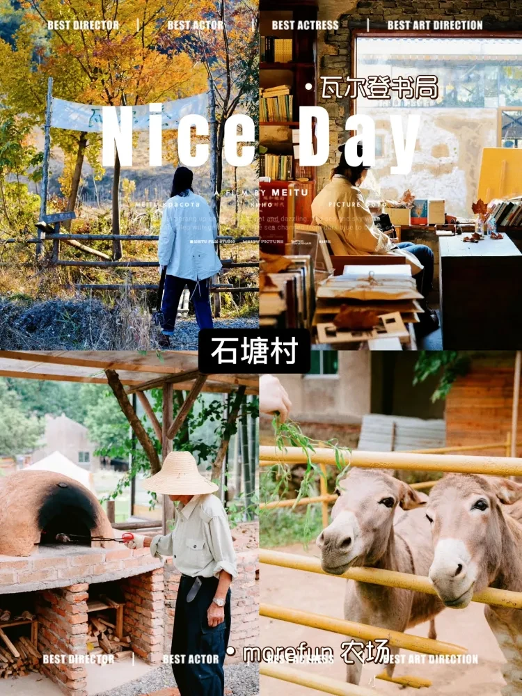 b9b477465ea5b402748d19fa48c8aa44-sz_2311139