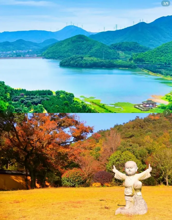 b9d4178335bb2f9a79e53ebad7fa9219-sz_1024159