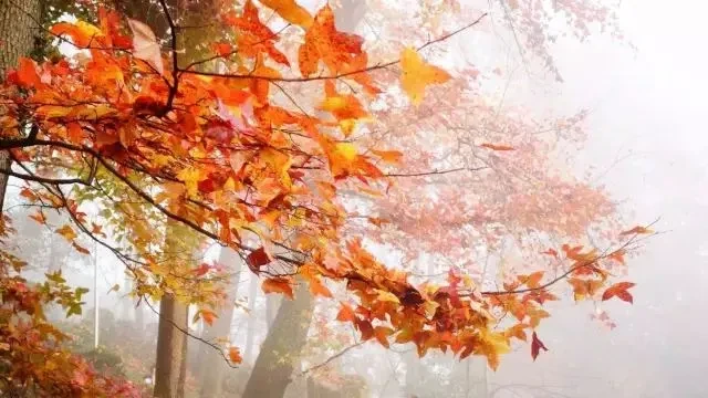 b9e626d00c5adc4230323ac244077a8d-sz_58133 b9e626d00c5adc4230323ac244077a8d-sz_58133