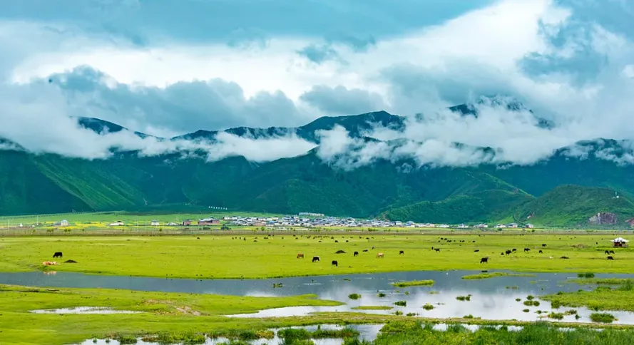 ba16de601d64fde68628f2549f39a81d-sz_959345