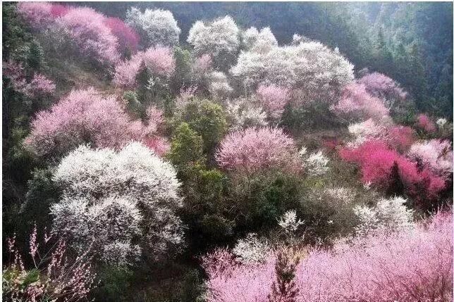 ba6ba1b499b9e7784c449476b7a82179-sz_104674