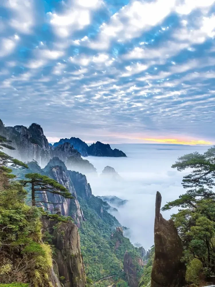 ba7123742338fa2eff7c4865c83db763-sz_3352586