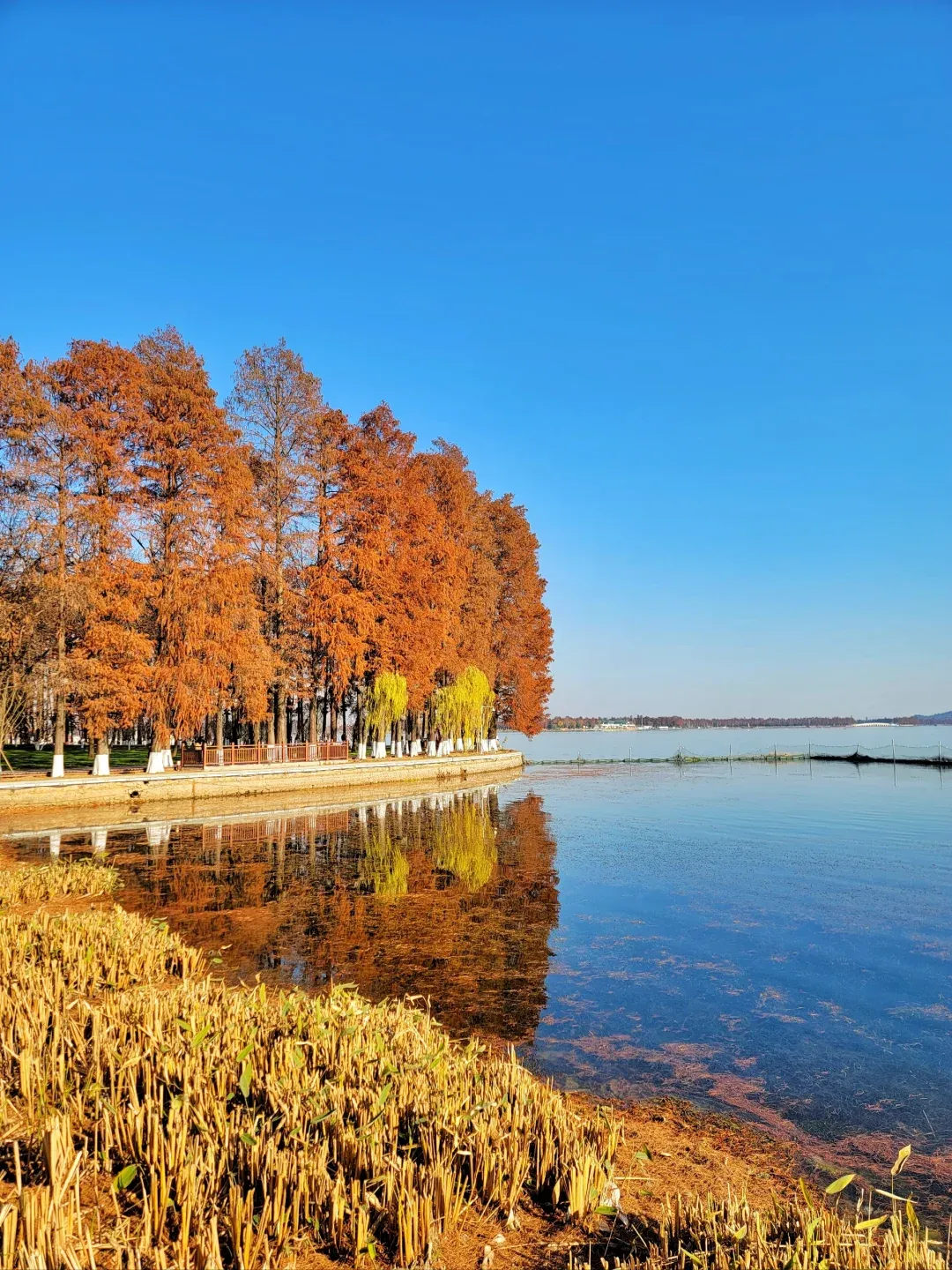 ba72cb0b45b8086f460203447596b80e-sz_2276801