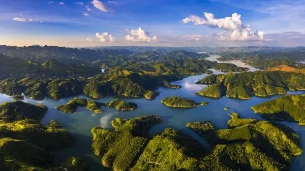 ba82a3fbfcb6e3f46bb9e49d60bf3a92-sz_45421