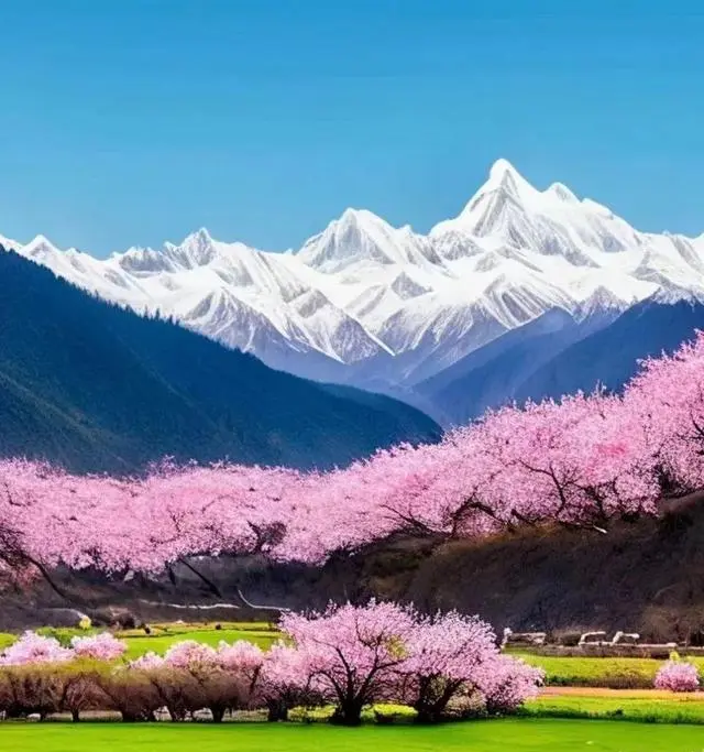 7980元起★S2私家团一单一团●纯玩【画说圣域】骑马射箭●船游巴松措●玉松岛下午茶●双卧11日游