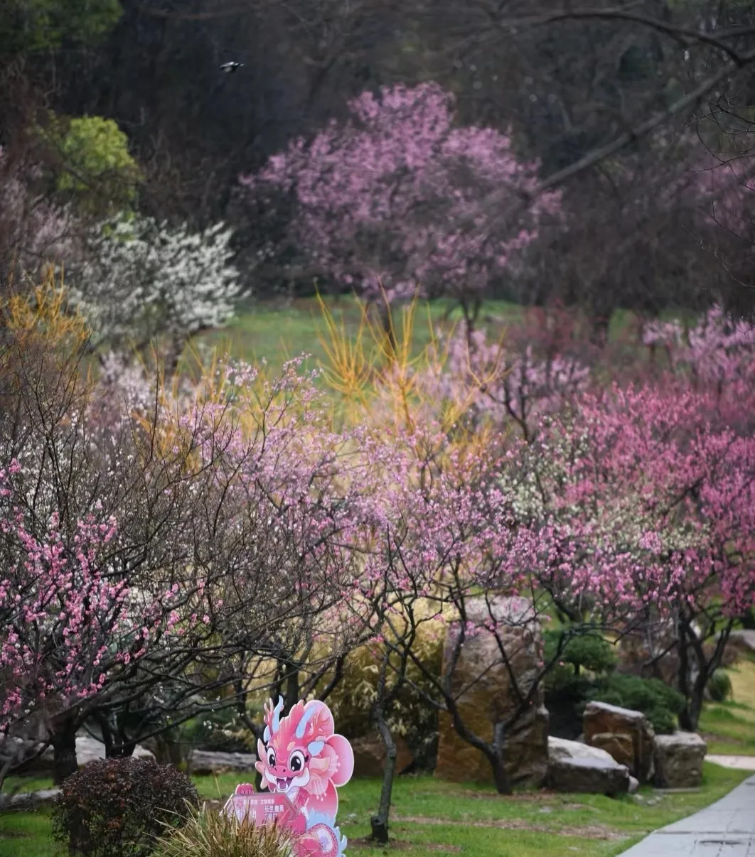 bacaa2830020d61a6bd6b1bcfe124cd7-sz_918014