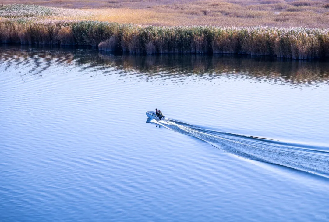 bafaf62067c6e78109bc42b939c6a37c-sz_2846983