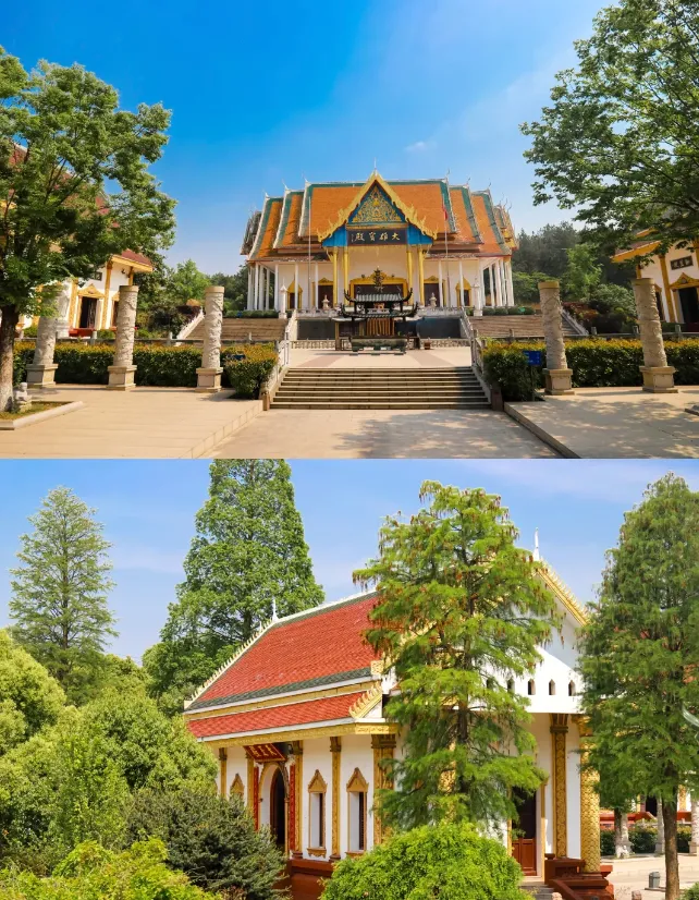 baffb3907cc21105a99cca12016cc78c-sz_1171008