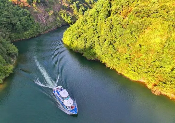 bb2aebb617a0609ae4fa10b3d4af1267-sz_91256