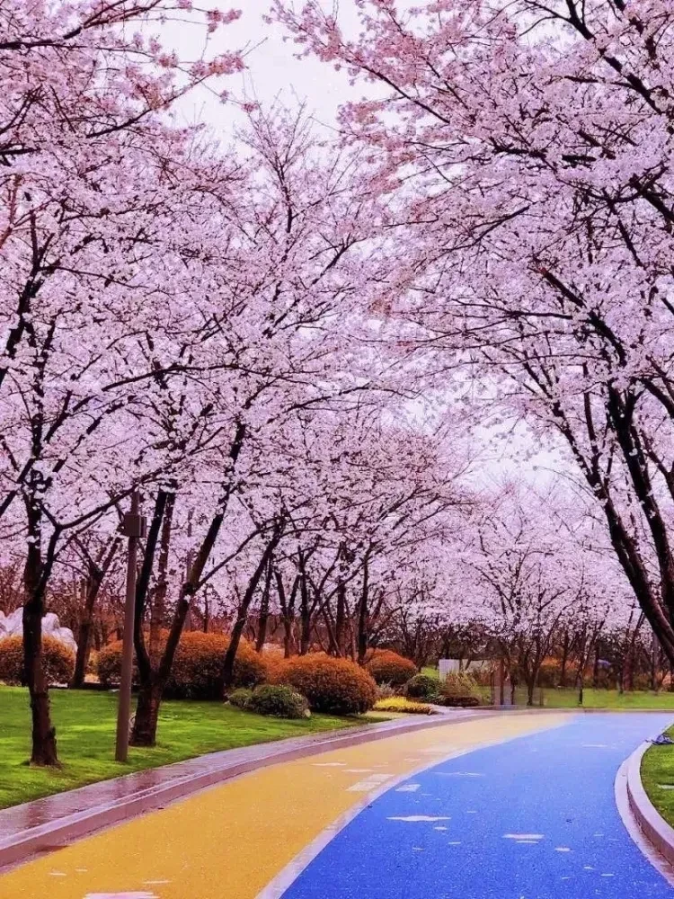 bb3c8e0e096955b2257a56cfcec25242-sz_2356285