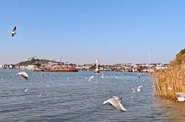 bb6df4d77acc44e8ae0c36f1d1a582d0-sz_324383-1