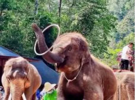 bb7a8f861bc882c000c6e2f24caaa555-sz_618398