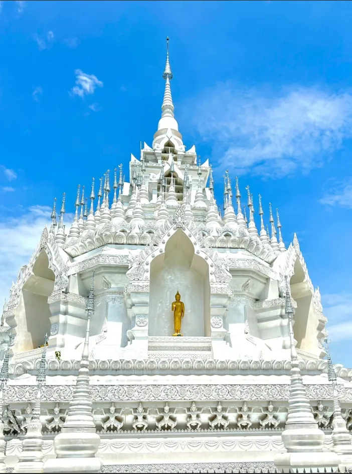 bb8fa1baecd3a1974e4f4c6db3321a79-sz_1420546