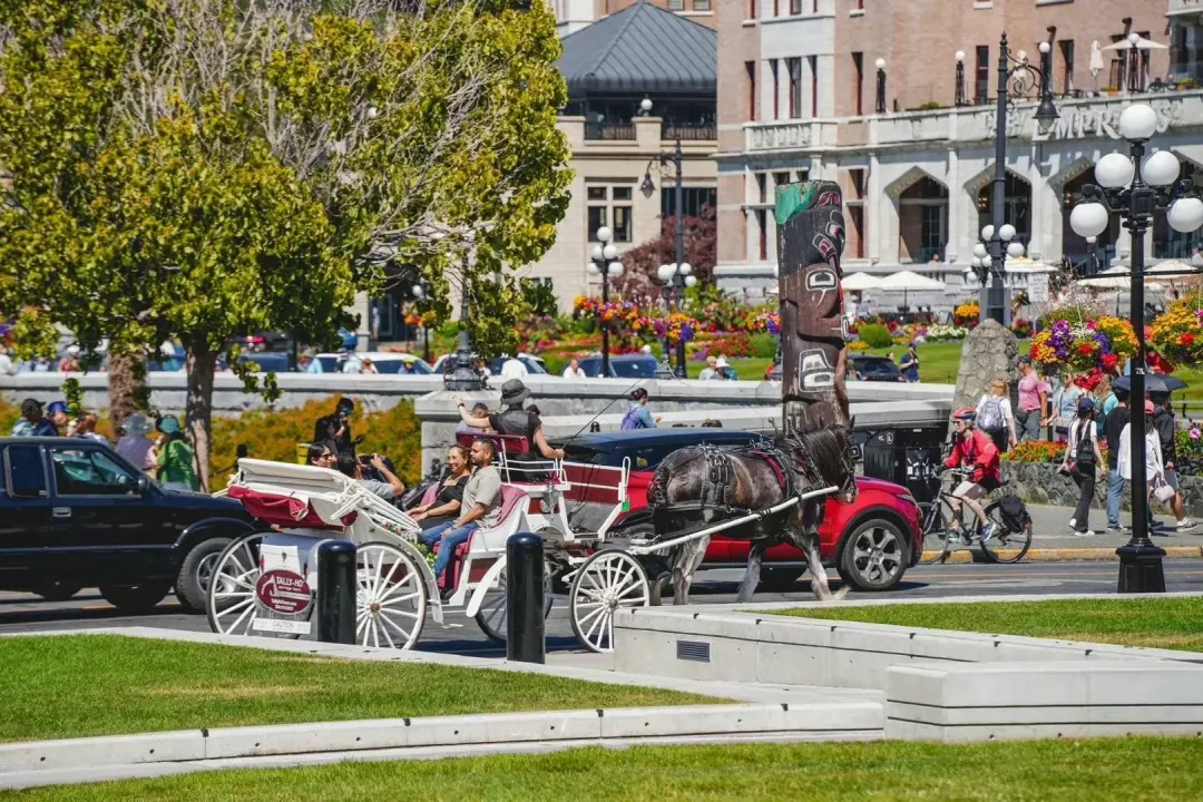 bbcc4dc32b71c1d34cb1e435016de75c-sz_580907-1