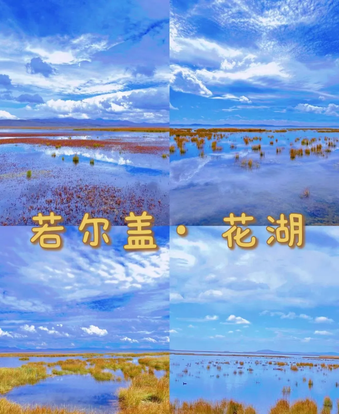 bbe0afa0aac1b598a9ab16d896b8f9d3-sz_715360-1