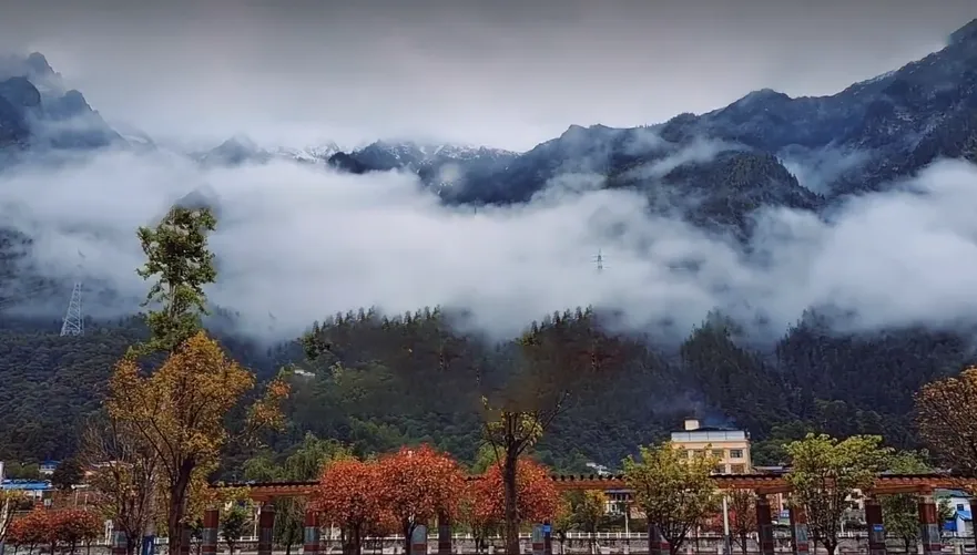 bbe78e61a68a419e36b866425943abbc-sz_626533