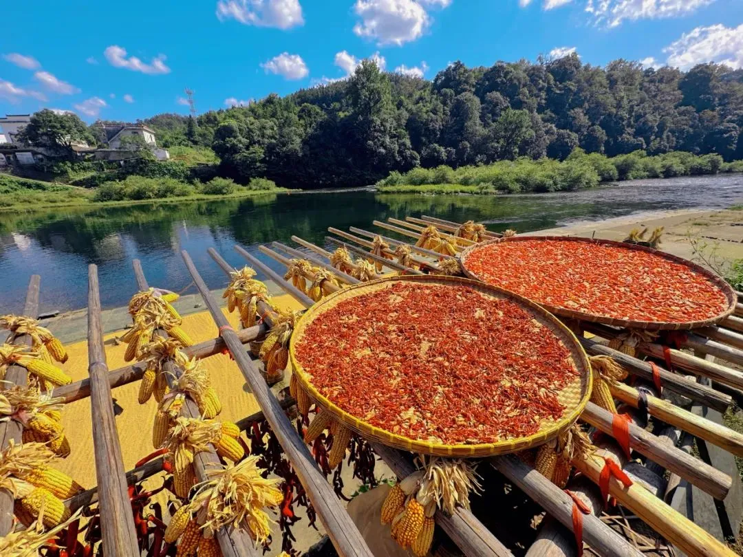 bbf6285565d16ba8f768ffbaf00c6bf1-sz_2479976 bbf6285565d16ba8f768ffbaf00c6bf1-sz_2479976