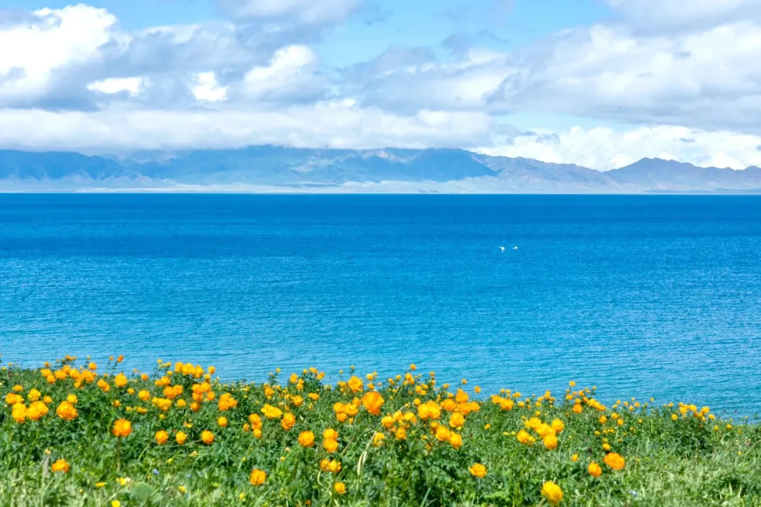 bc08ef5a3128f344635300c145e99166-sz_500981 bc08ef5a3128f344635300c145e99166-sz_500981