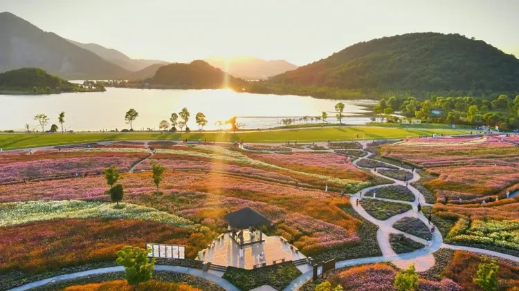 bc5d9e3cc24f41d85a18bc5a7c0a4a80-sz_2010054