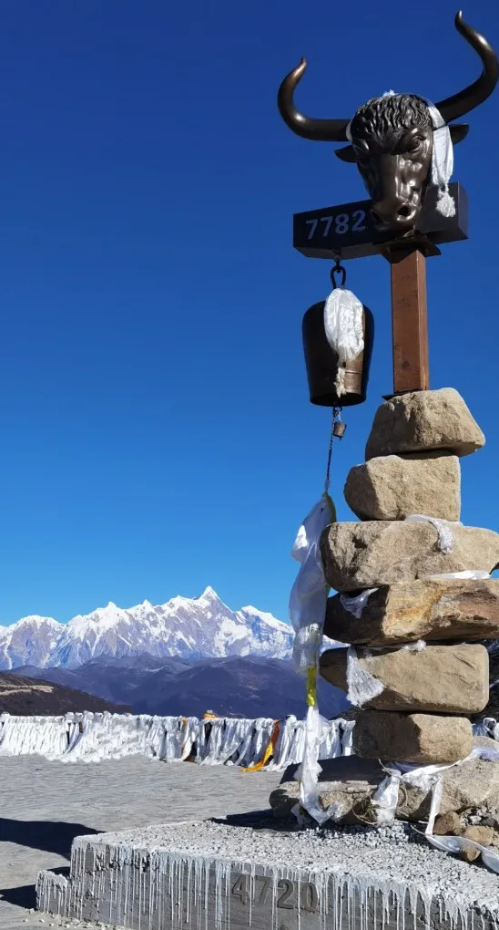 bcc2e79c63ec40e97745cdea2756627c-sz_154135