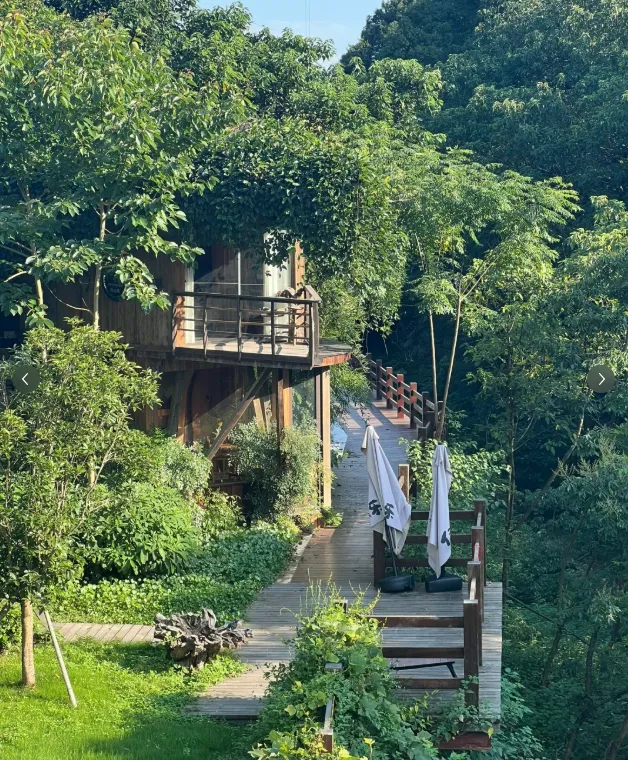 bd3bd6057e6dd1f9daa5c0ebb8b8c1f7-sz_1198170