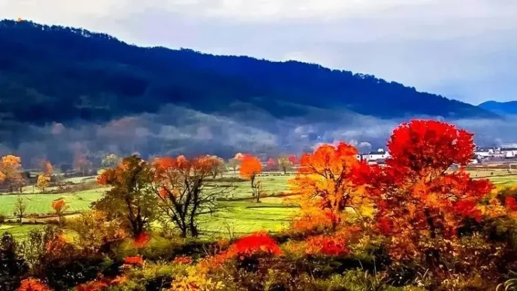 bd91ec3b853669a044fa58f8c92ff9e6-sz_79801