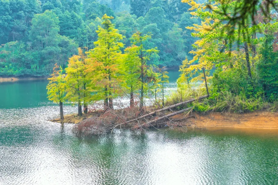 bdcf1d844adbff54eb311fa91c722c6b-sz_4941766