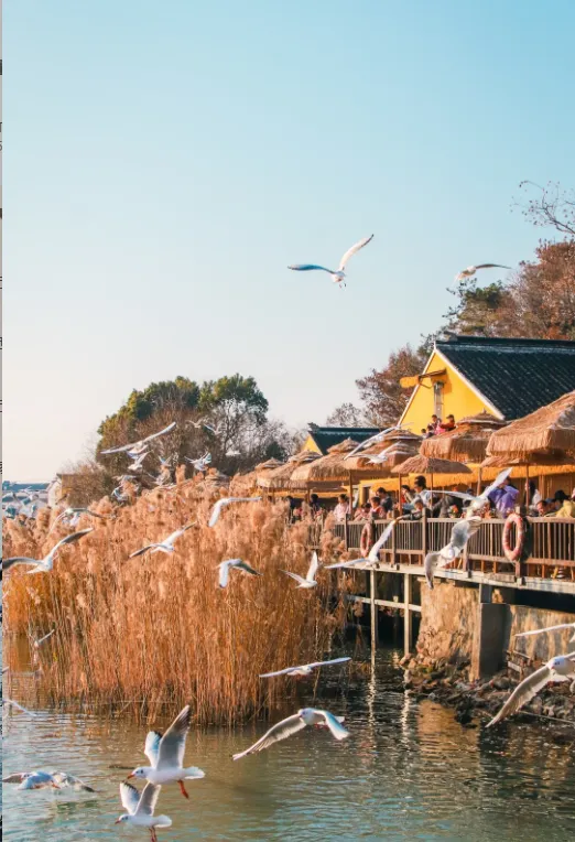 bdf232d773d7fccd97e0d6437c14d686-sz_634574