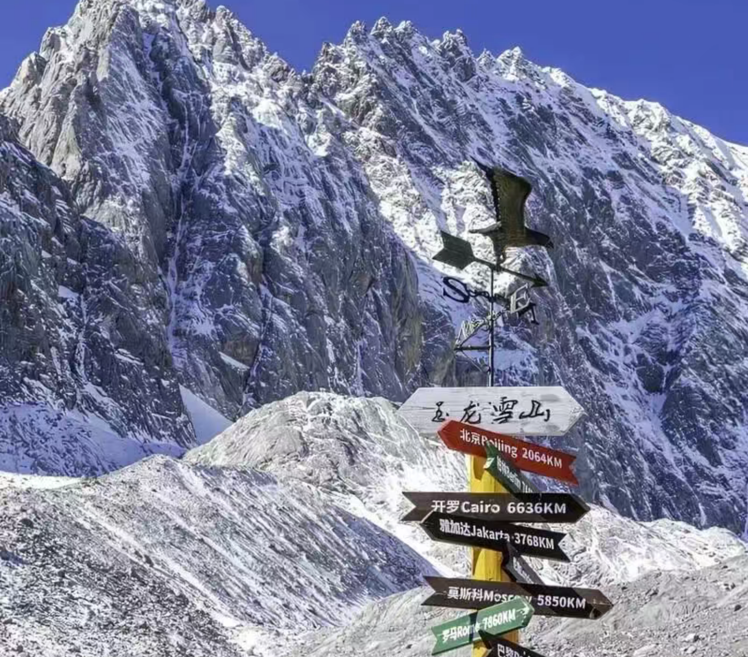 be0b2dca8f00e067aff37bf4b9ce3df5