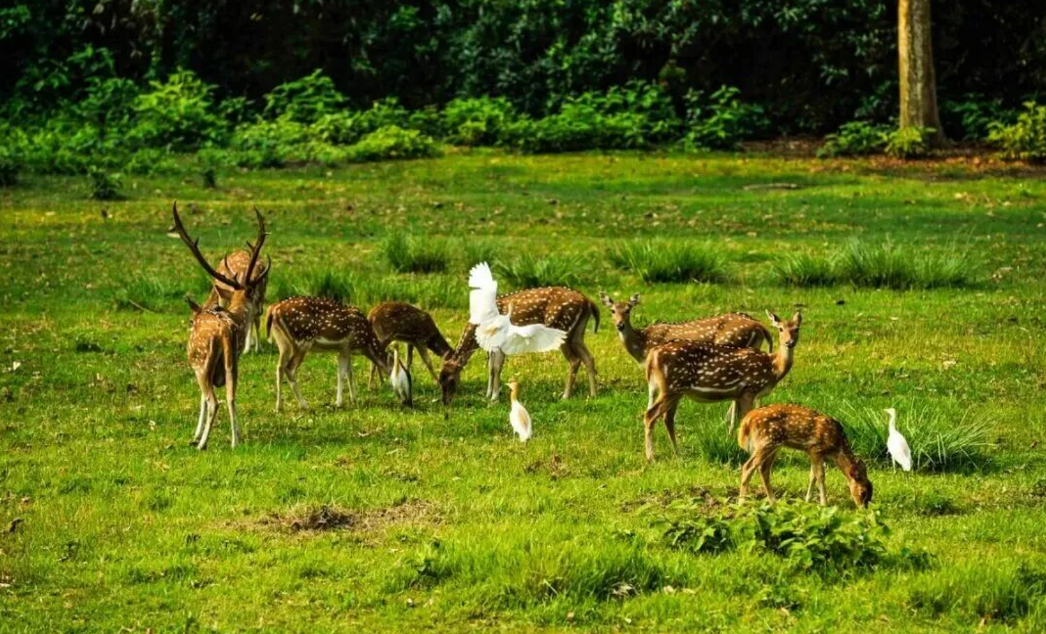 be0c8ae61f175a283f8ee5d441855836