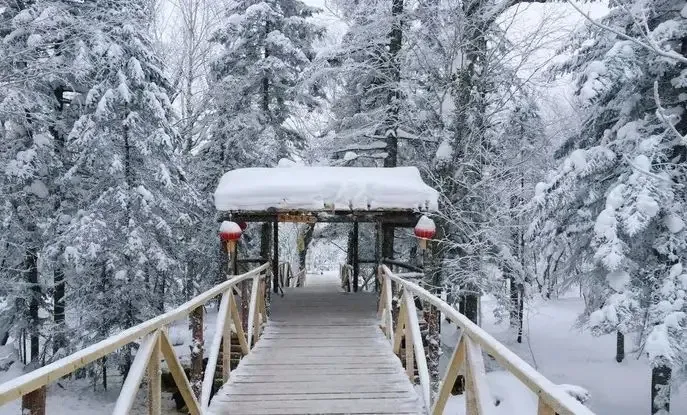 be24dda5acfdd99cb7fe459f8d8d3c6c-sz_252053