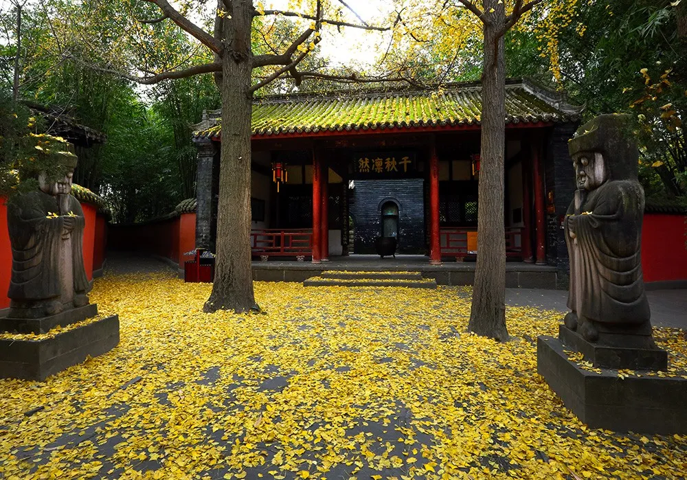 be297a30b0521443ba6068207a665906-sz_368529