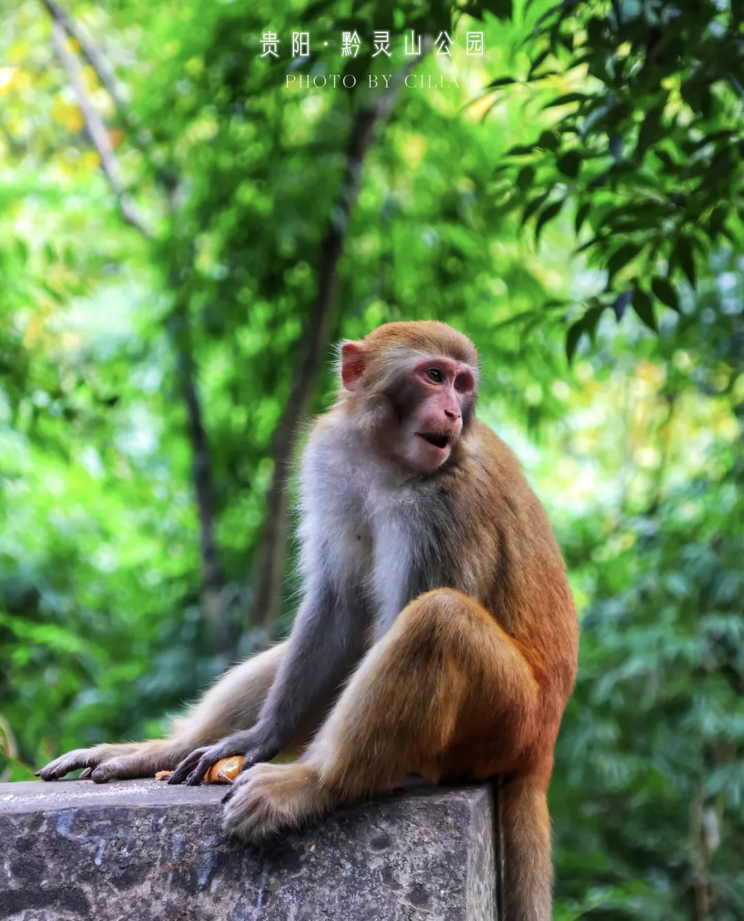 be37465c75c38faf537d4cac08e159b1-sz_1440165 be37465c75c38faf537d4cac08e159b1-sz_1440165