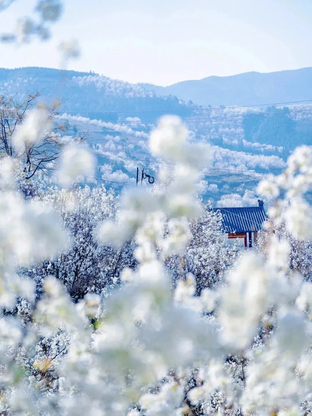 be3c857d9540e2cff99af52d7c17ab2c-sz_225637-1