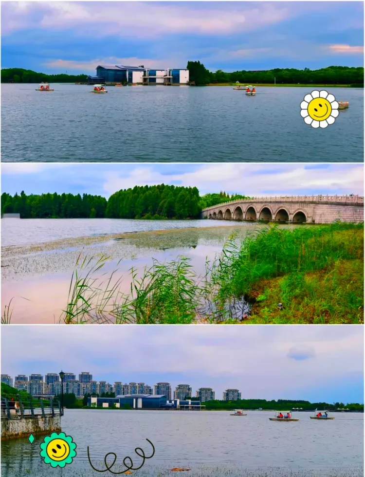 be46e27de7f7756cb34ca9ac970b6cd5-sz_1907157