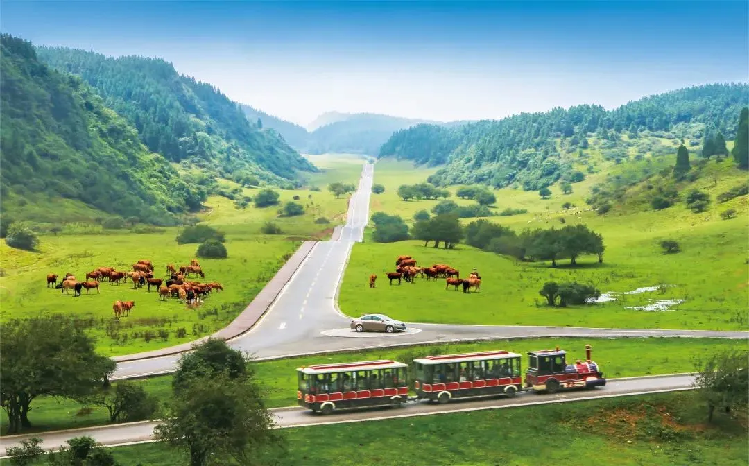 be497f938476200bb95a7782a65091b8-sz_135666-1 be497f938476200bb95a7782a65091b8-sz_135666-1