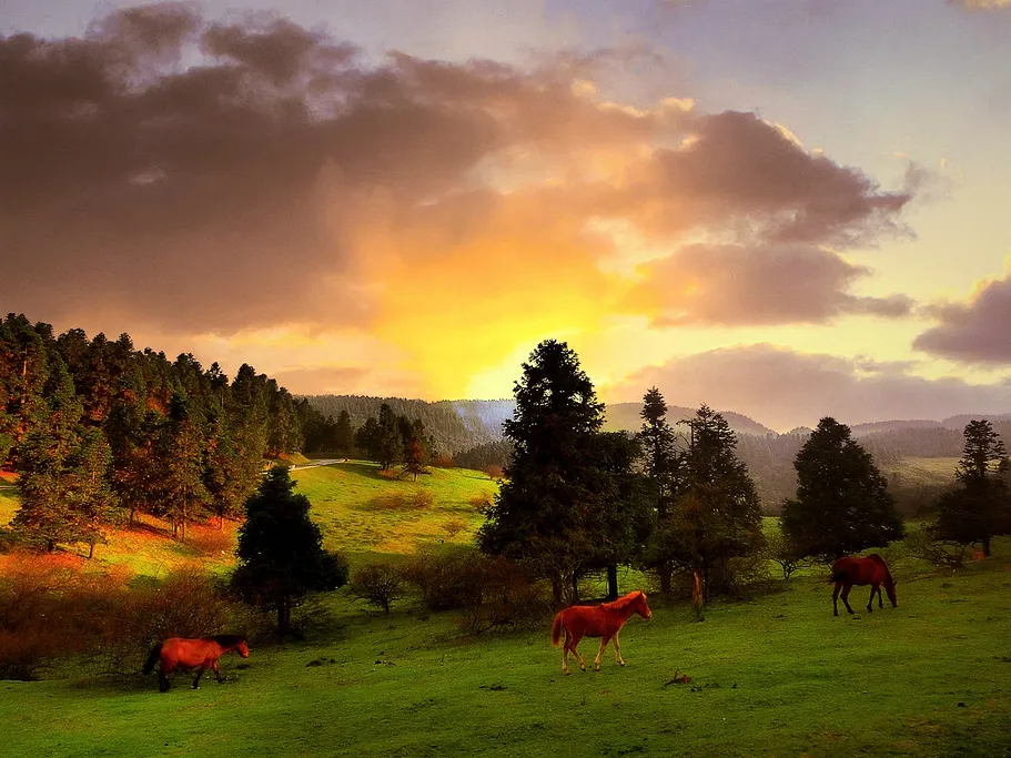 be784d9b79955b577cad6661d459c1c6-sz_343097