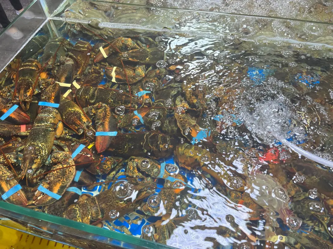 beb3c10e9fa6c6917cda8f2ebfe1a696-sz_939907-1