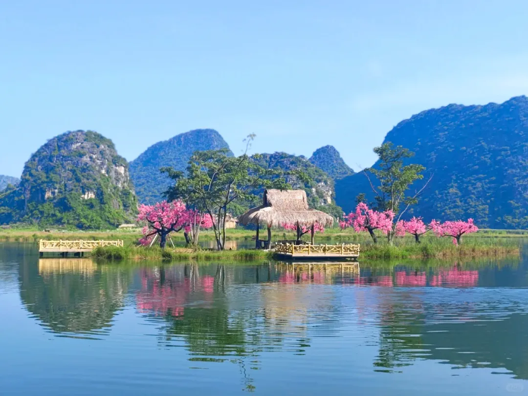 bf0a97fc0183635a444c5d6e4c40c6a2-sz_1539098