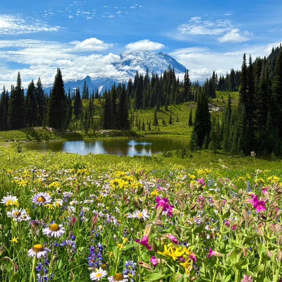 bf1083456deafae8405433719e9838dd-sz_520137-1