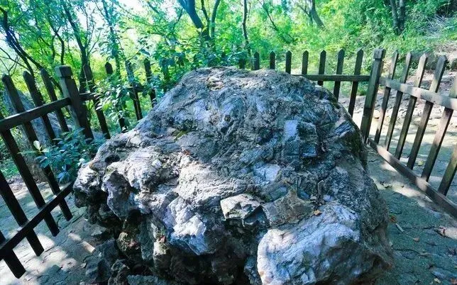 bf18f3394604a42ee4e0052f5307df98-sz_102803