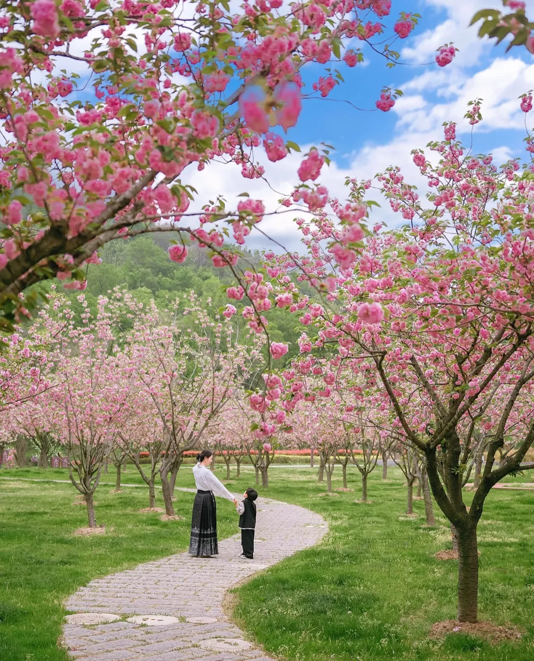 bf1bb3df1cff9313be18ef219d43f476-sz_2086187