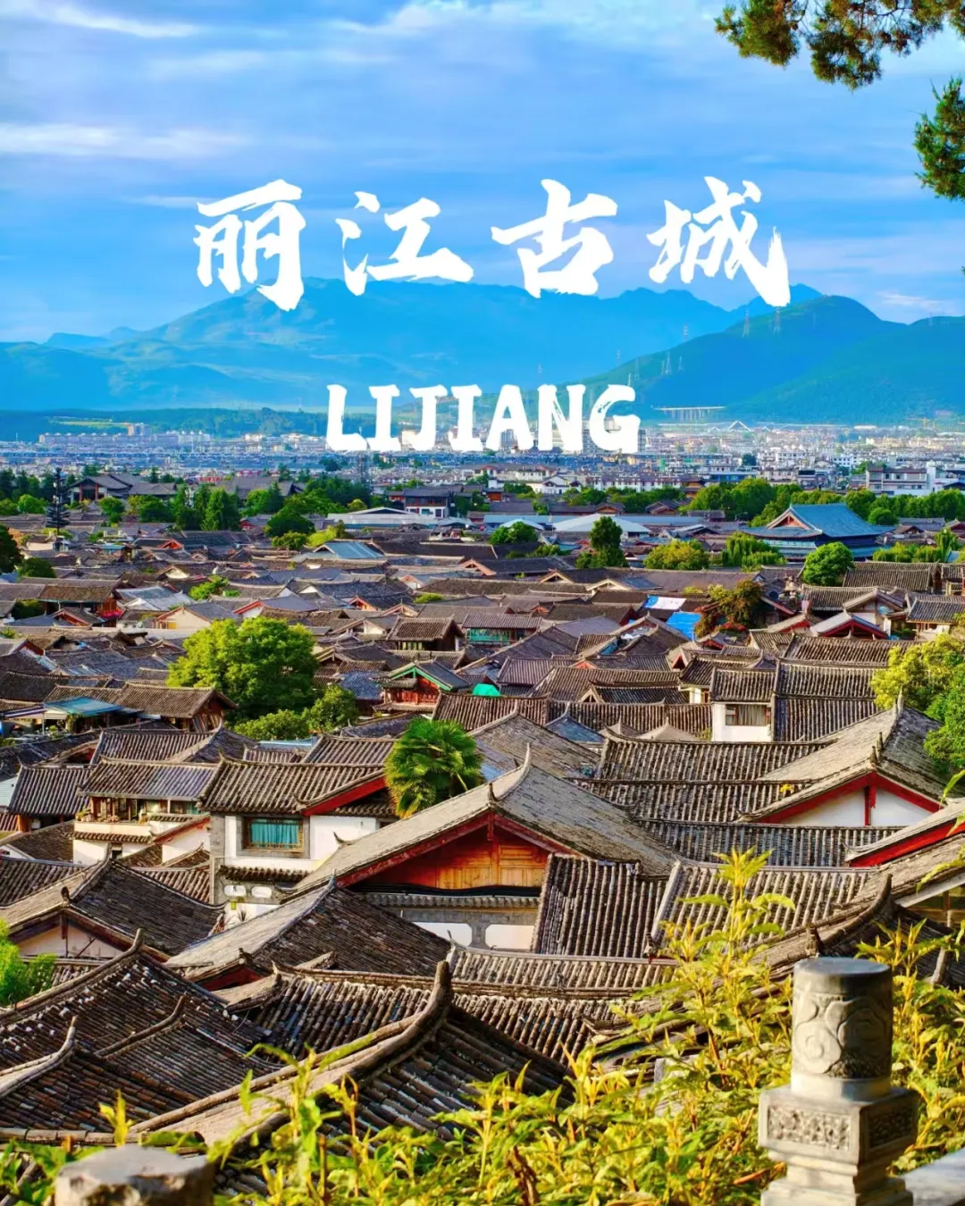 bf3ef0e7fe1a70e6226c7003f43204ab-sz_1799296