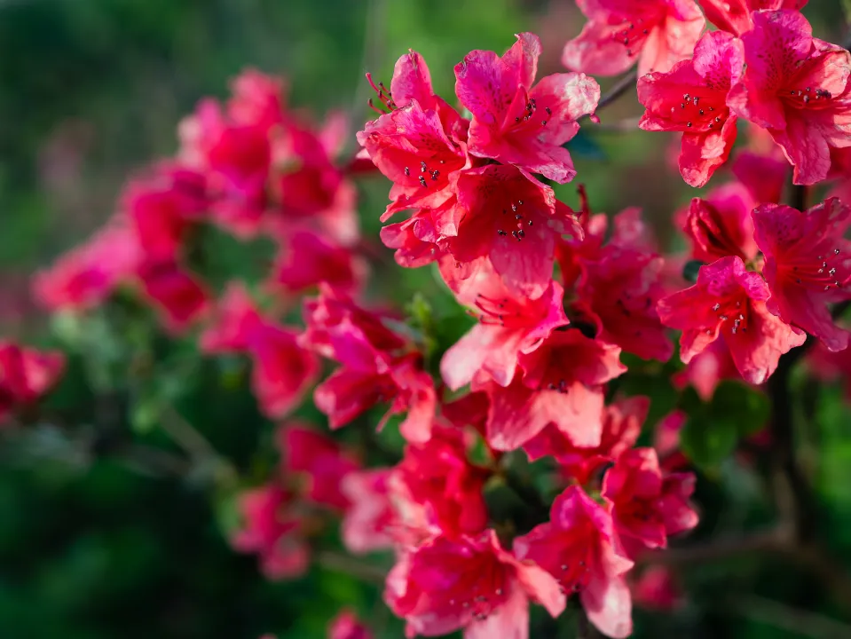 bf5f7fb4524a032a999cb7f58cfa3554-sz_5826524