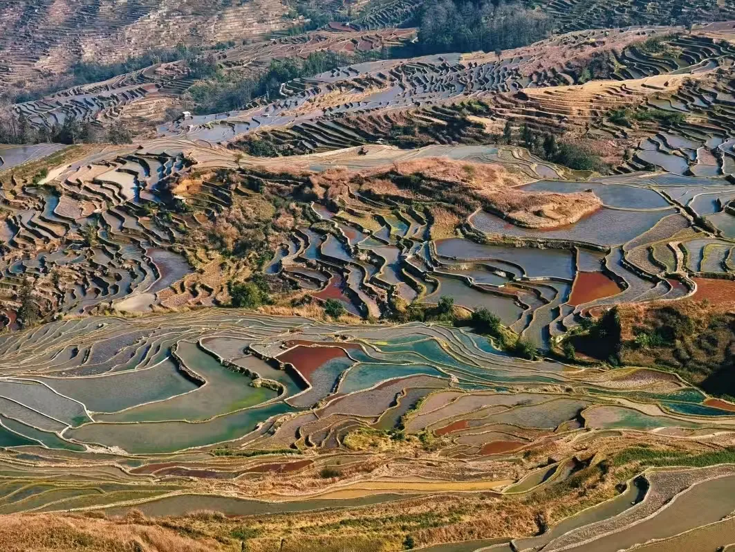 bfa63d75d739584fecb8c28fd28d30dc-sz_927542