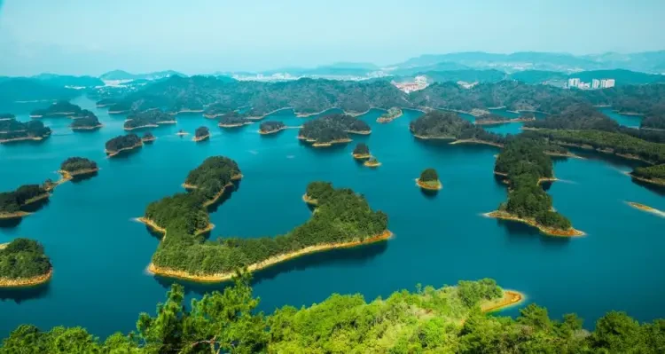 bfbf2ecba10be3856b865331ce5b073b-sz_72869