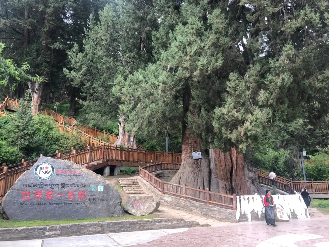 bfcdc3e45b078bc3fc1c2f6cbb731ed8-sz_735092