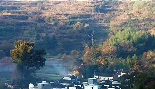 bfed87af52e442a4718f7db2c259a717-sz_74489