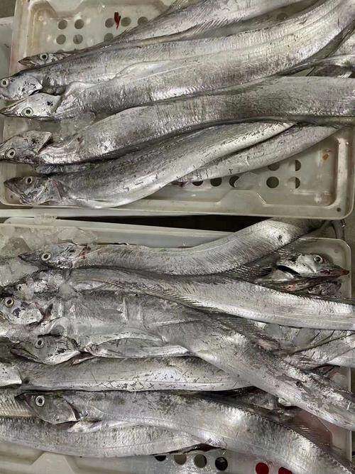 bq-dleXEbVo7l8-SHVp0Tj3jRTxg5jwm